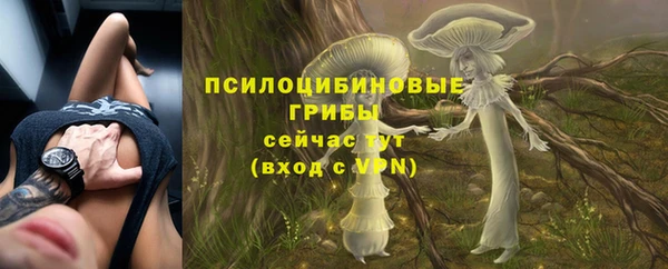 дживик Арсеньев
