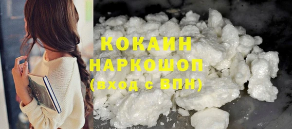 стаф Новодвинск
