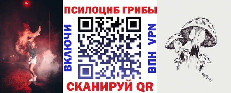 Галлюциногенные грибы Psilocybe  купить  цена  Медвежьегорск 